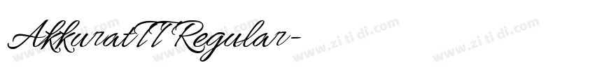 AkkuratTT Regular字体转换 AkkuratTT Regular字体转换